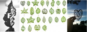 Leaf Type