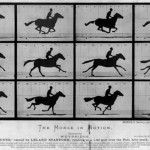 E-Muybridge-cheval au galop 1878