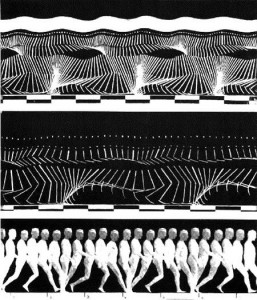Etienne-Jules-Marey-1881, chronophotographie