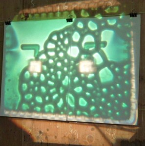 Toile de bulles