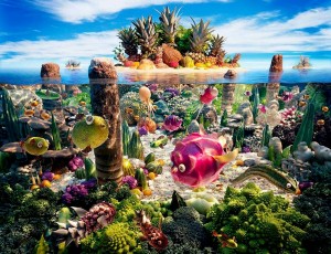 WARNER C. « Food landscapes » 2010. Photomontage réalisé uniquement avec des fruits et légumes. http://www.carlwarner.com/ 