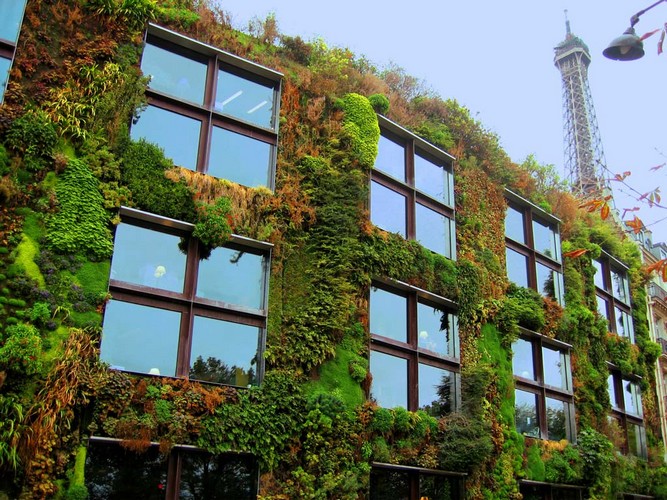 mur vegetal de Patrick Blanc-Musee du quai Branly