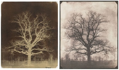 "An Oak Tree In Winter", William Henry Fox Talbot, 1842-43, Getty Museum (Los Angeles)